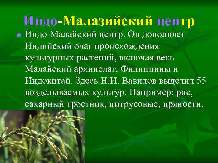 Индо-Малазийский центр n Индо-Малайский центр. Он дополняет Индийский очаг происхождения культурных растений, включая весь