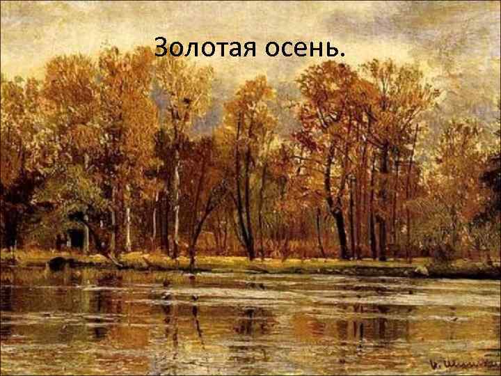 Золотая осень. 