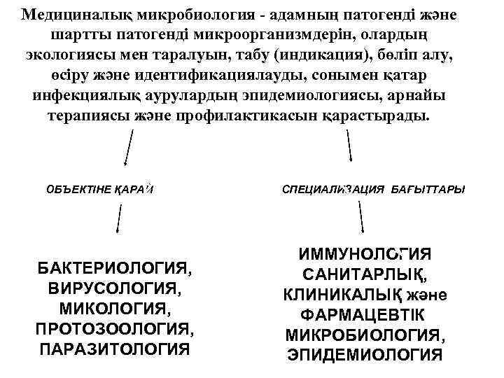 Медициналық микробиология - адамның патогенді және шартты патогенді микроорганизмдерін, олардың экологиясы мен таралуын, табу