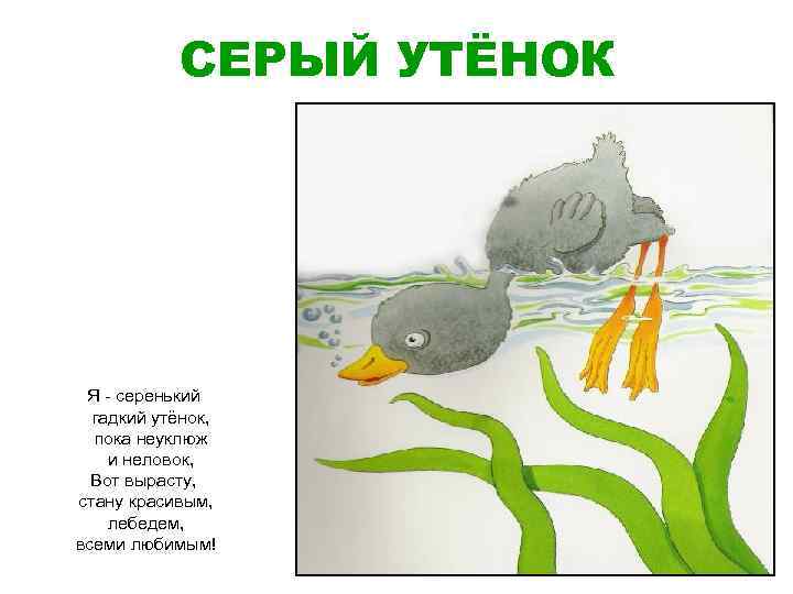 СЕРЫЙ УТЁНОК Я - серенький гадкий утёнок, пока неуклюж и неловок, Вот вырасту, стану
