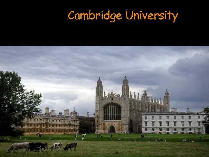 Cambridge University 