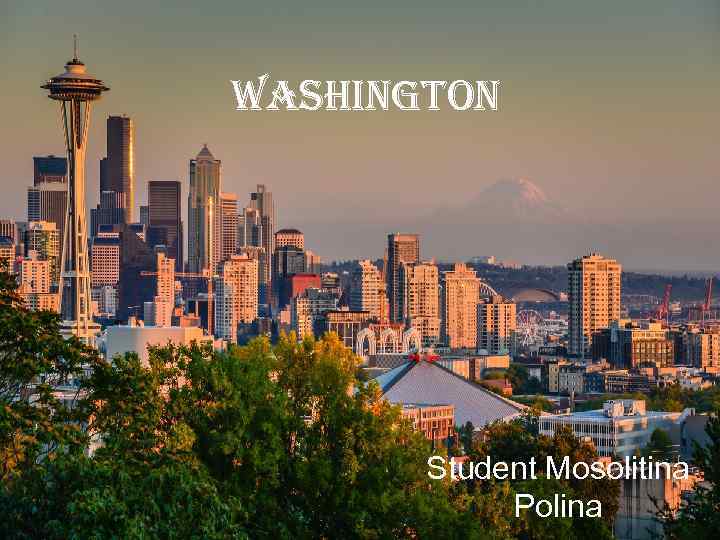 Washington Student Mosolitina Polina 