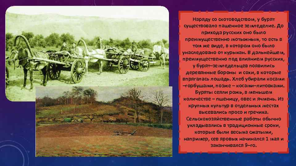 Наряду со скотоводством, у бурят существовало пашенное земледелие. До прихода русских оно было преимущественно