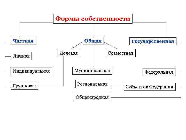 Формы собственности Частная Личная Индивидуальная Групповая Общая Долевая Государственная Совместная Муниципальная Региональная Общенародная Федеральная