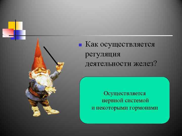 n Как осуществляется регуляция деятельности желез? Осуществляется нервной системой и некоторыми гормонами 