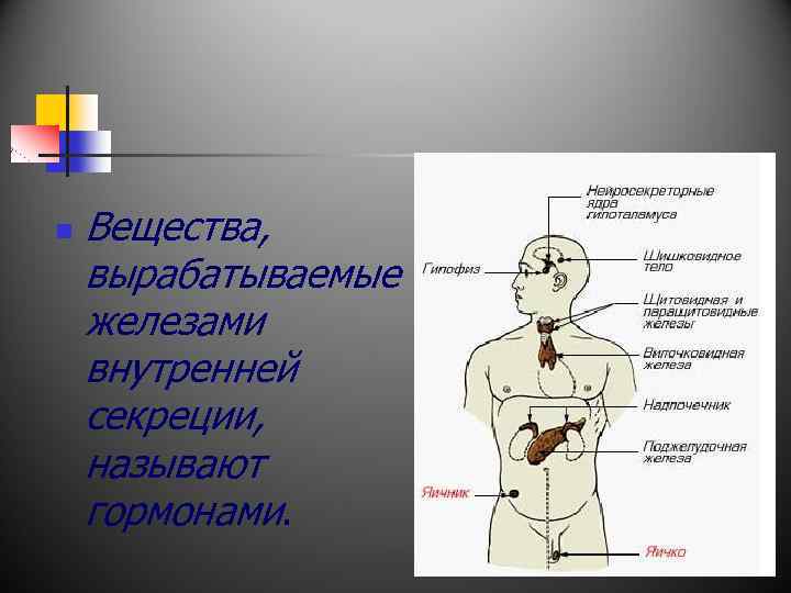 n Вещества, вырабатываемые железами внутренней секреции, называют гормонами. 