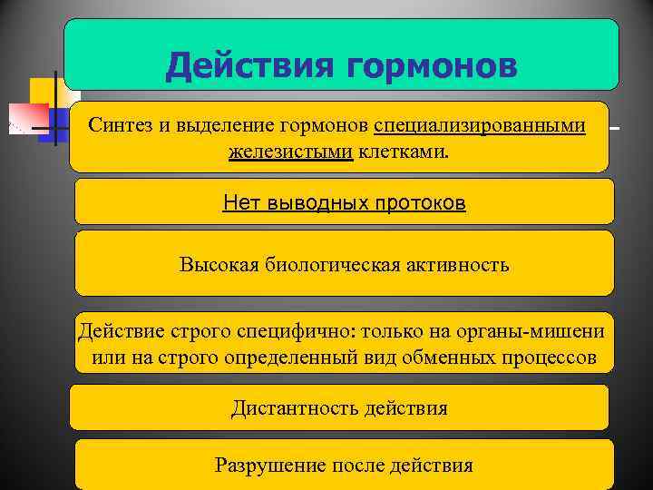 Действия гормонов Синтез и выделение гормонов специализированными железистыми клетками. Нет выводных протоков Высокая биологическая