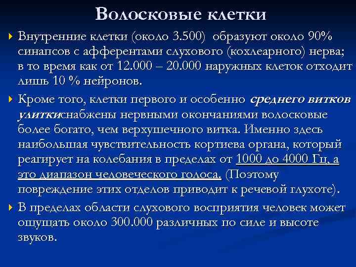 Волосковые клетки Внутренние клетки (около 3. 500) образуют около 90% синапсов с афферентами слухового