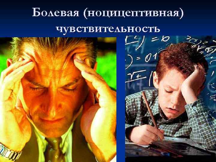 Болевая (ноцицептивная) чувствительность 