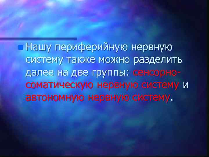 n Нашу периферийную нервную систему также можно разделить далее на две группы: сенсорносоматическую нервную