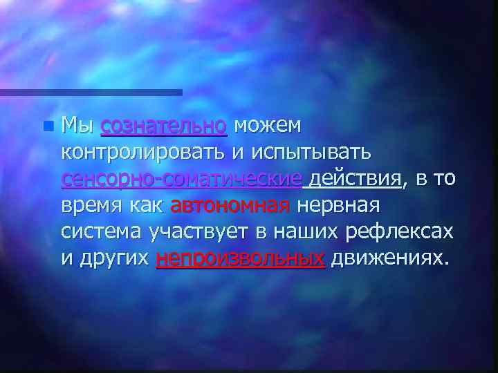 n Мы сознательно можем контролировать и испытывать сенсорно-соматические действия, в то время как автономная