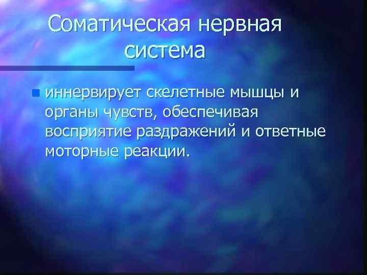 Соматическая нервная система n иннервирует скелетные мышцы и органы чувств, обеспечивая восприятие раздражений и