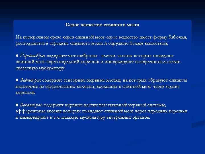 Серое вещество спинного мозга На поперечном срезе через спинной мозг серое вещество имеет форму