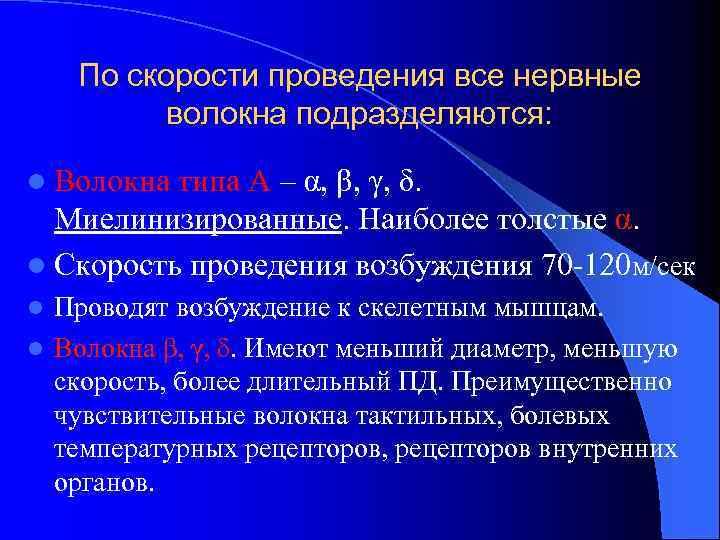 По скорости проведения все нервные волокна подразделяются: l Волокна типа А – α, β,