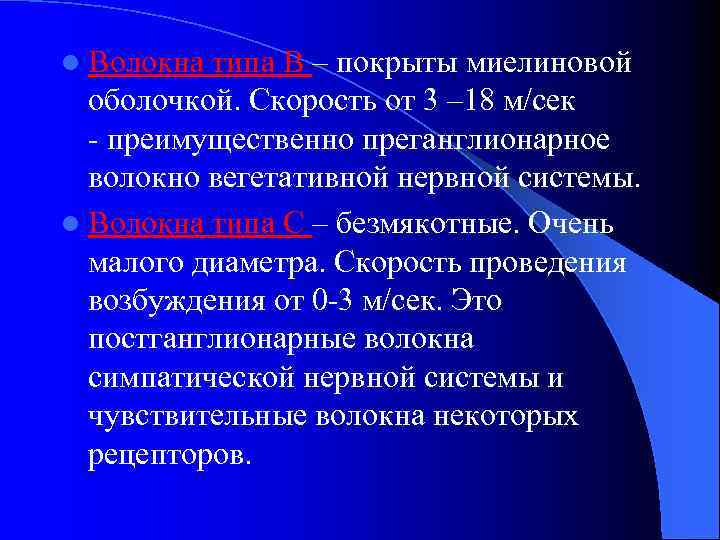 l Волокна типа В – покрыты миелиновой оболочкой. Скорость от 3 – 18 м/сек