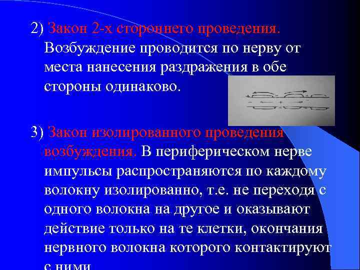 2) Закон 2 -х стороннего проведения. Возбуждение проводится по нерву от места нанесения раздражения