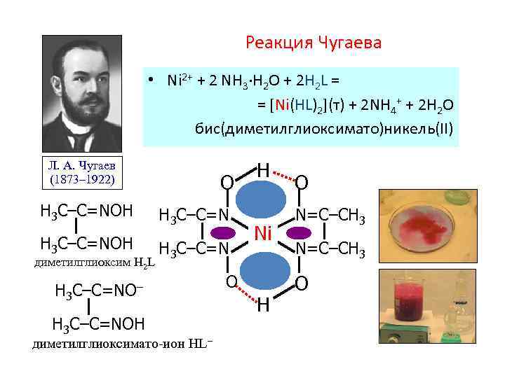Реакция Чугаева • Ni 2+ + 2 NH 3·H 2 O + 2 H