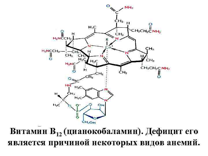 Витамин В 12 (цианокобаламин). Дефицит его является причиной некоторых видов анемий. 