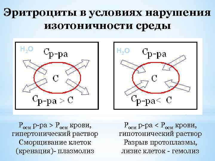 Эритроциты в условиях нарушения изотоничности среды Н 2 О Росм р-ра > Росм крови,