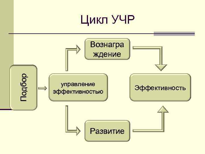 Цикл УЧР Подбор Вознагра ждение управление эффективностью Развитие Эффективность 