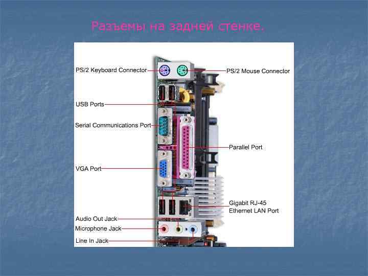 Разъемы на задней стенке. 