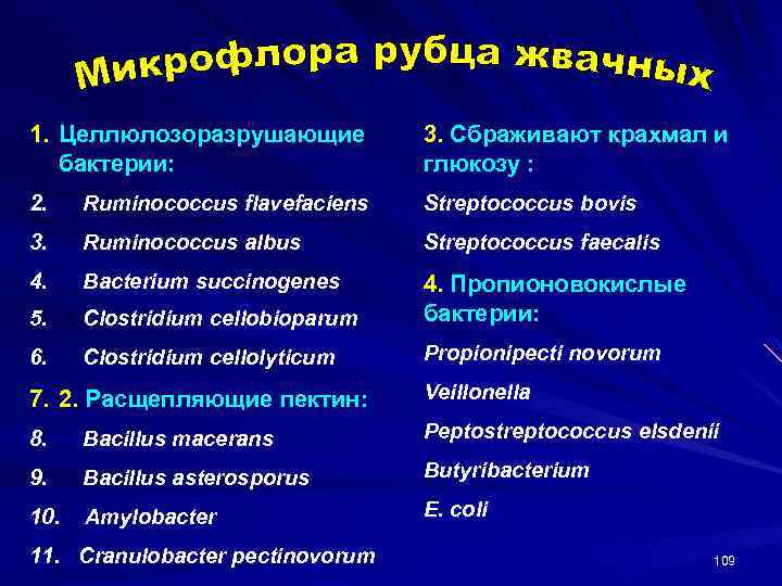 1. Целлюлозоразрушающие бактерии: 3. Сбраживают крахмал и глюкозу : 2. Ruminococcus flavefaciens Streptococcus bovis