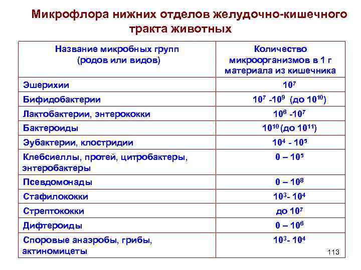 Микрофлора нижних отделов желудочно-кишечного тракта животных Название микробных групп (родов или видов) Эшерихии Бифидобактерии