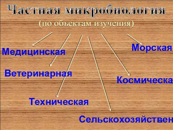 Морская Медицинская Ветеринарная Космическа Техническая Сельскохозяйствен 13 