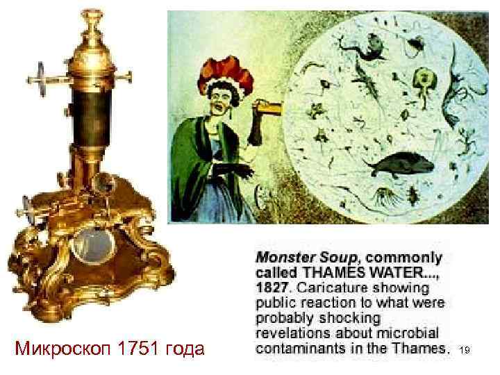 Микроскоп 1751 года 19 