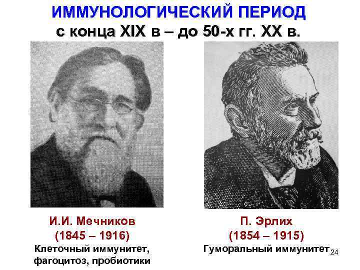 Кто открыл клеточный иммунитет. Пауль Эрлих и Мечников. Открытие и.и.Мечников п.Эрлих. Мечников Нобелевская премия клеточный иммунитет. Мечников и Эрлих иммунитет.