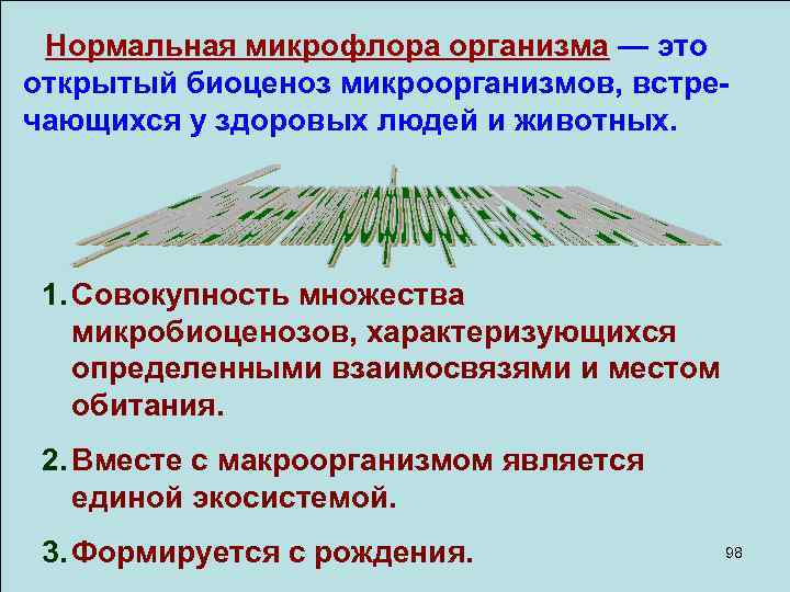 Нормальная микрофлора организма — это открытый биоценоз микроорганизмов, встречающихся у здоровых людей и животных.