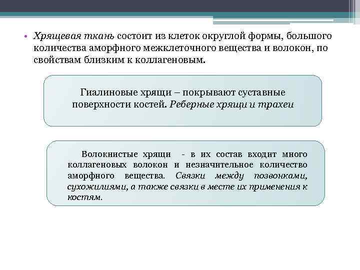  • Хрящевая ткань состоит из клеток округлой формы, большого количества аморфного межклеточного вещества