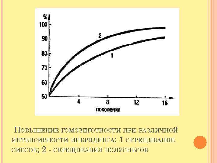 ПОВЫШЕНИЕ ГОМОЗИГОТНОСТИ ПРИ РАЗЛИЧНОЙ ИНТЕНСИВНОСТИ ИНБРИДИНГА: 1 СКРЕЩИВАНИЕ СИБСОВ; 2 - СКРЕЩИВАНИЯ ПОЛУСИБСОВ 