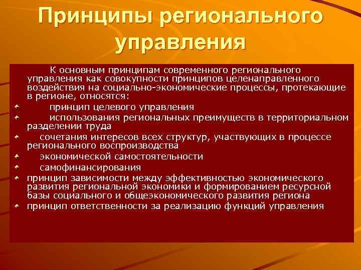 Принципы регионального управления К основным принципам современного регионального управления как совокупности принципов целенаправленного воздействия