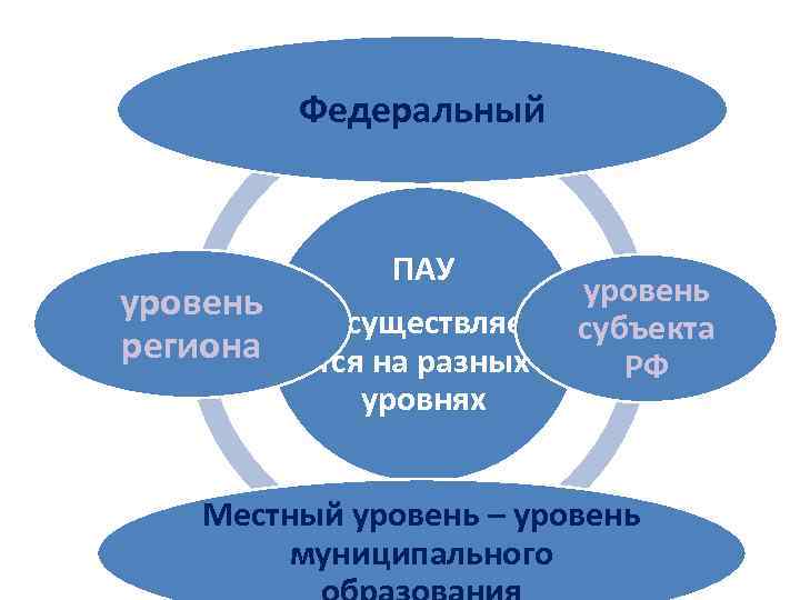 Федеральный уровень региона ПАУ Осуществляе тся на разных уровнях уровень субъекта РФ Местный уровень