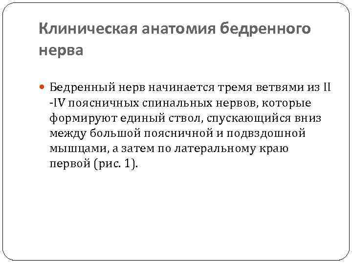 Клиническая анатомия бедренного нерва Бедренный нерв начинается тремя ветвями из II -IV поясничных спинальных