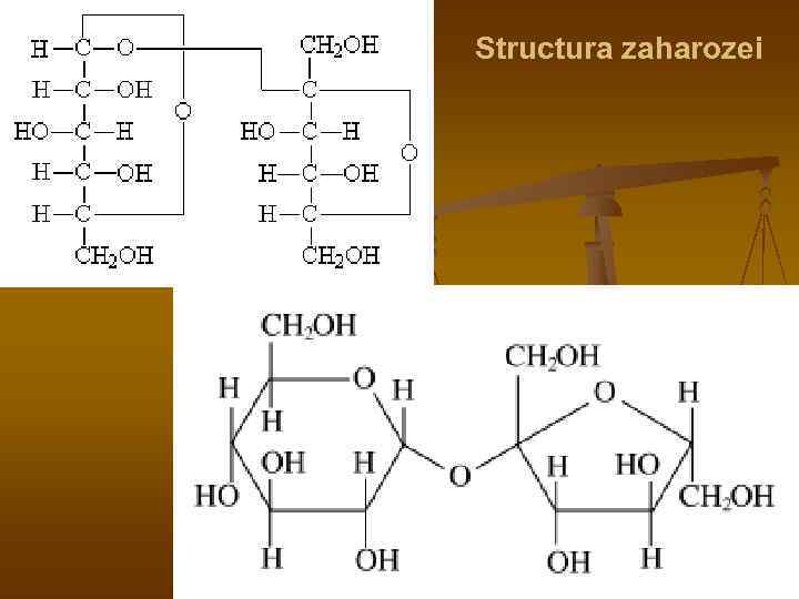 Structura zaharozei 