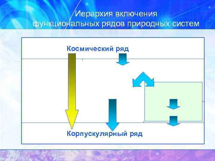 Иерархия включения функциональных рядов природных систем Космический ряд Геоценотический ряд неживой компонент Бионтный ряд