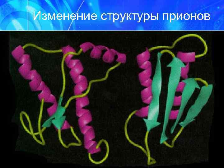 Изменение структуры прионов 