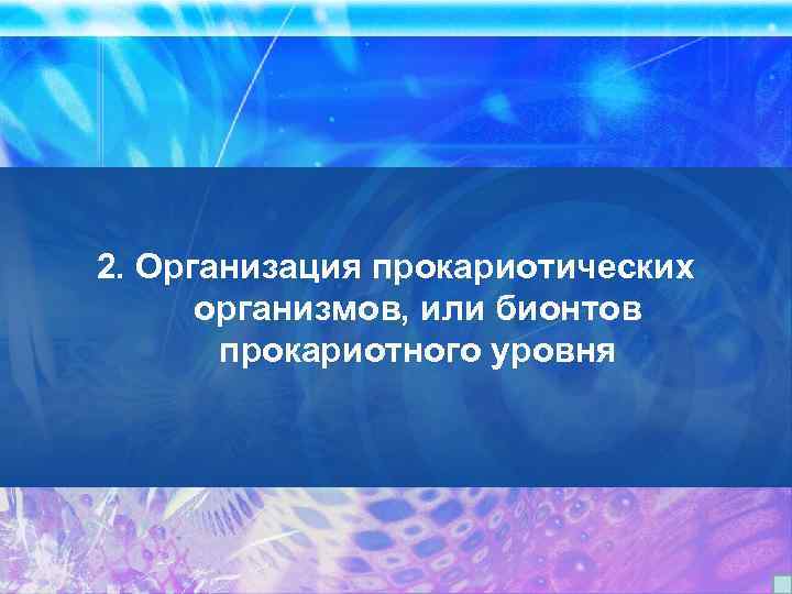 2. Организация прокариотических организмов, или бионтов прокариотного уровня 