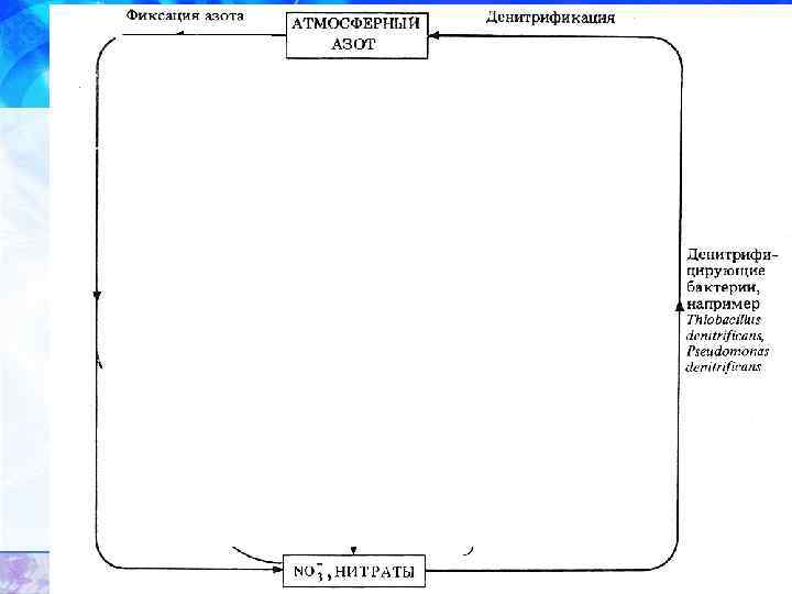 1. Промфиксация. 2. Симбиотические прокариоты. 3. Свободноживущие прокариоты. 4. Молнии и др. 