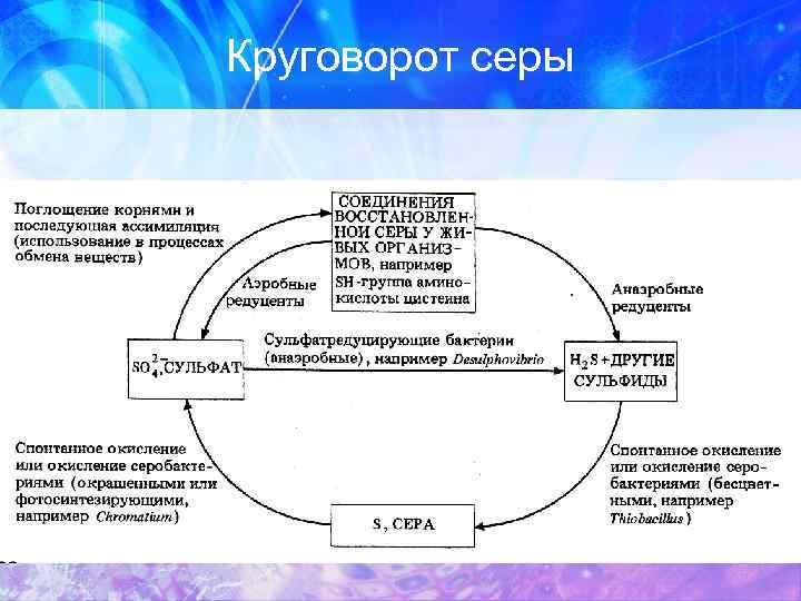 С Какими Круговоротами Вы Познакомились