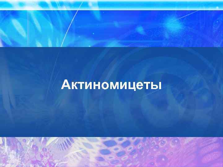 Актиномицеты 