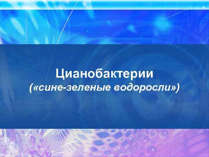 Цианобактерии ( «сине-зеленые водоросли» ) 