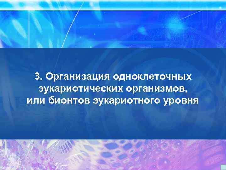 3. Организация одноклеточных эукариотических организмов, или бионтов эукариотного уровня 