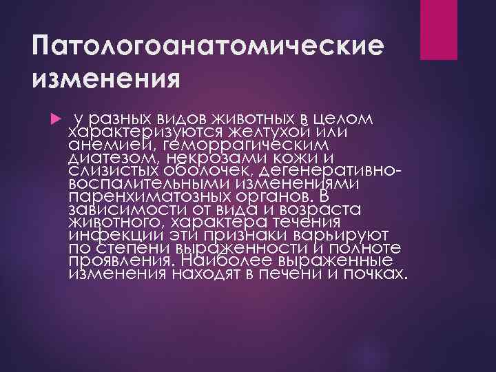 Патологоанатомические изменения у разных видов животных в целом характеризуются желтухой или анемией, геморрагическим диатезом,