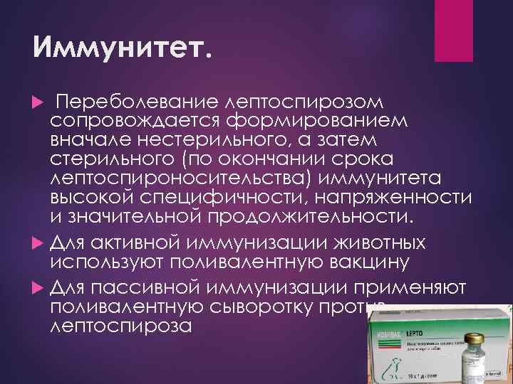 Иммунитет. Переболевание лептоспирозом сопровождается формированием вначале нестерильного, а затем стерильного (по окончании срока лептоспироносительства)