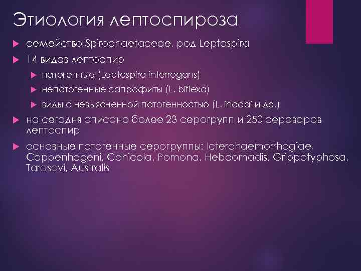Этиология лептоспироза семейство Spirochaetaceae, род Leptospira 14 видов лептоспир патогенные (Leptospira interrogans) непатогенные сапрофиты