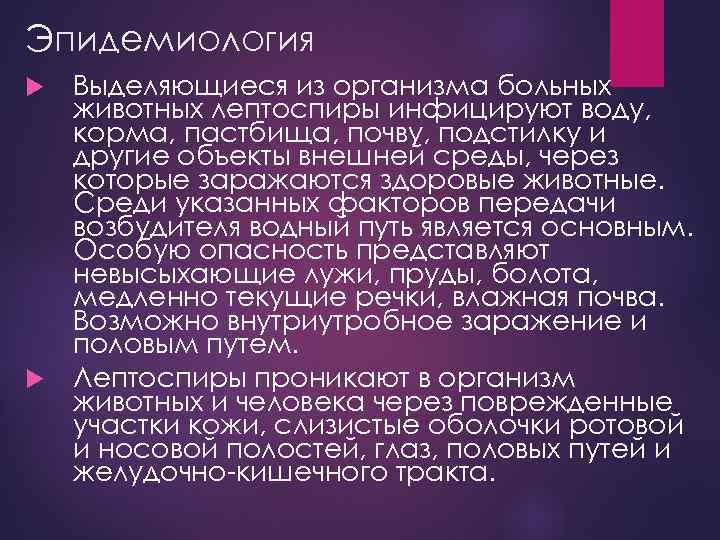 Эпидемиология Выделяющиеся из организма больных животных лептоспиры инфицируют воду, корма, пастбища, почву, подстилку и