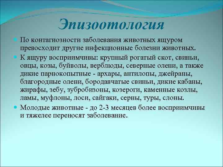 Эпизоотология По контагиозности заболевания животных ящуром превосходит другие инфекционные болезни животных. К ящуру восприимчивы: